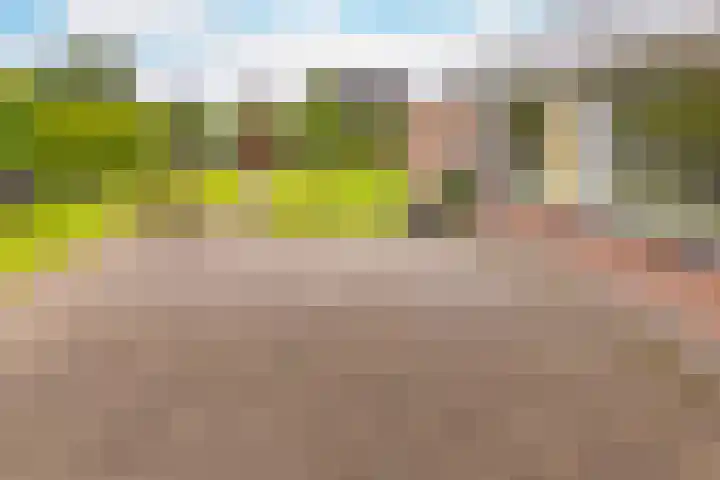 Vossenkamp 11 Winschoten thumbnail 37