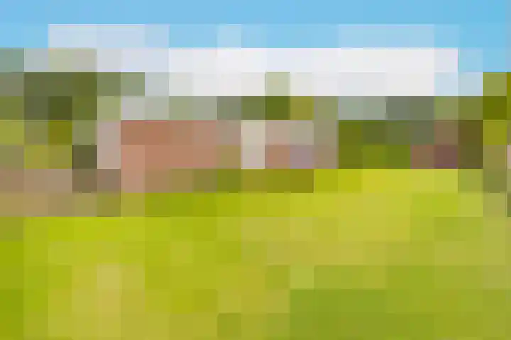Vossenkamp 11 Winschoten thumbnail 5