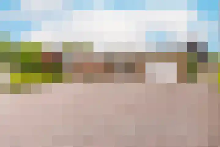 Vossenkamp 11 Winschoten thumbnail 6