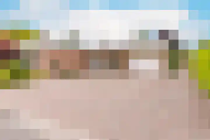 Vossenkamp 11 Winschoten thumbnail 7
