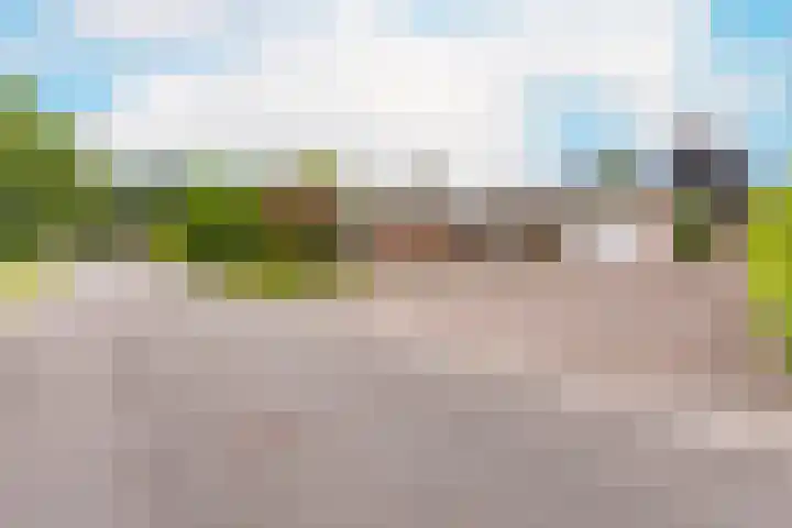Vossenkamp 11 Winschoten thumbnail 9