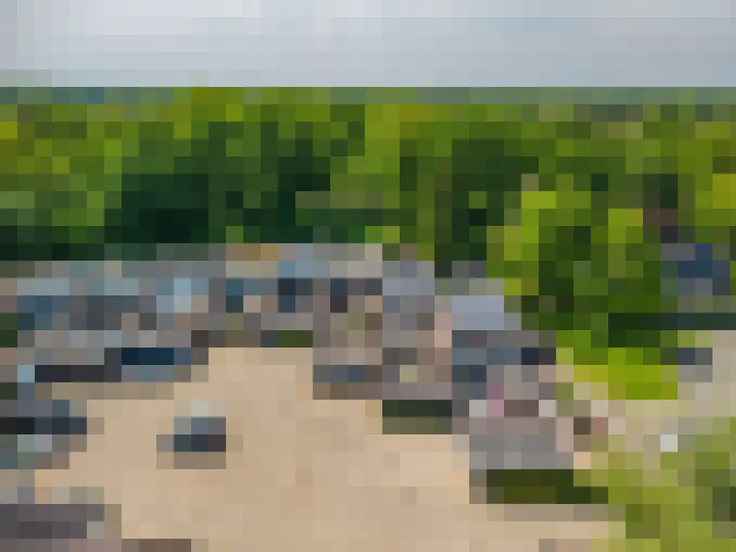 Vossenkamp 134 Winschoten thumbnail 50