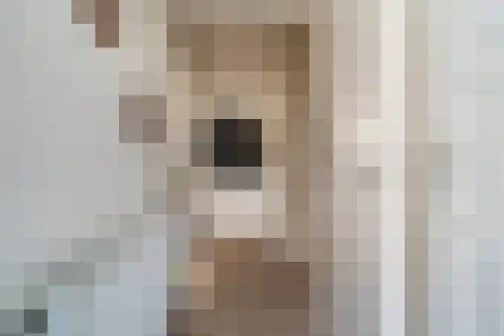 Vossenkamp 139 Winschoten thumbnail 12