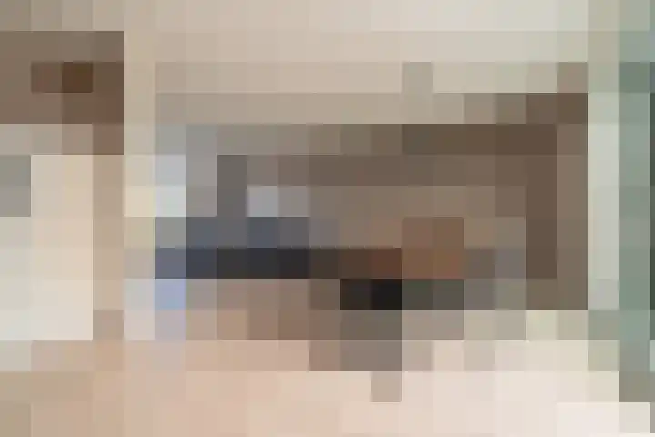 Vossenkamp 139 Winschoten thumbnail 19