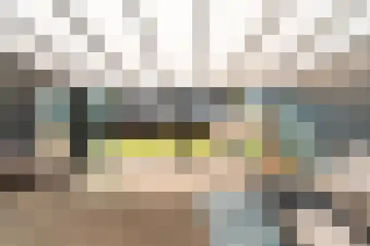 Vossenkamp 139 Winschoten thumbnail 4