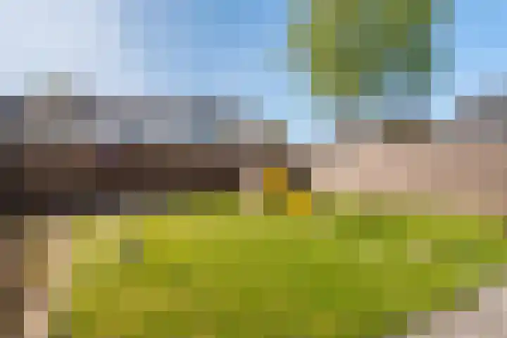 Vossenkamp 139 Winschoten thumbnail 45