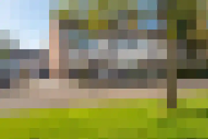 Vossenkamp 139 Winschoten thumbnail 7