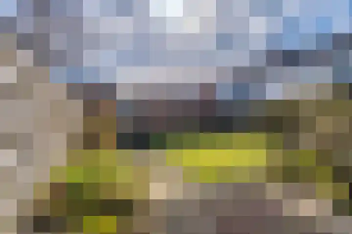 Vossenkamp 143 Winschoten thumbnail 32