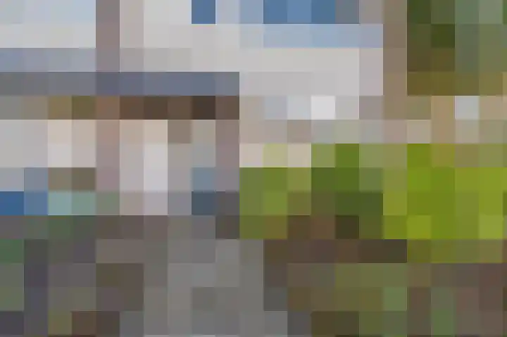 Vossenkamp 143 Winschoten thumbnail 4