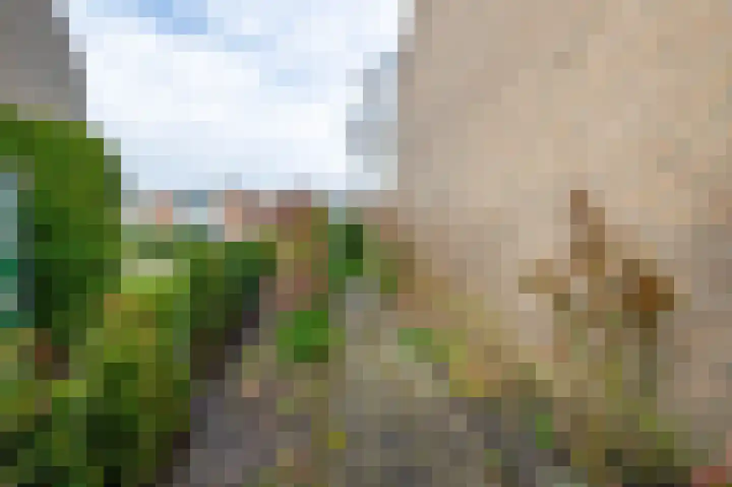 Vossenkamp 189 Winschoten thumbnail 21