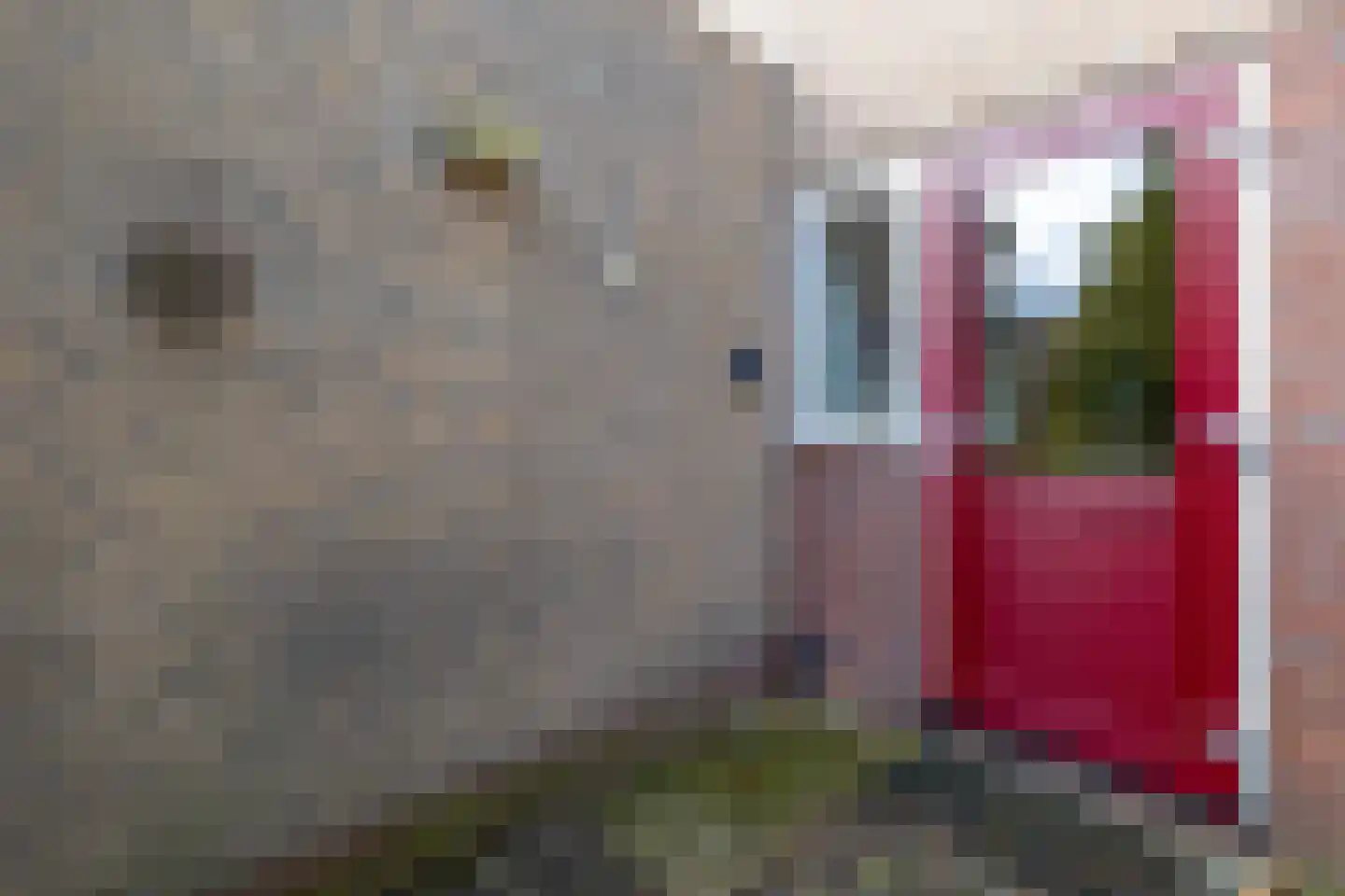 Vossenkamp 189 Winschoten thumbnail 32