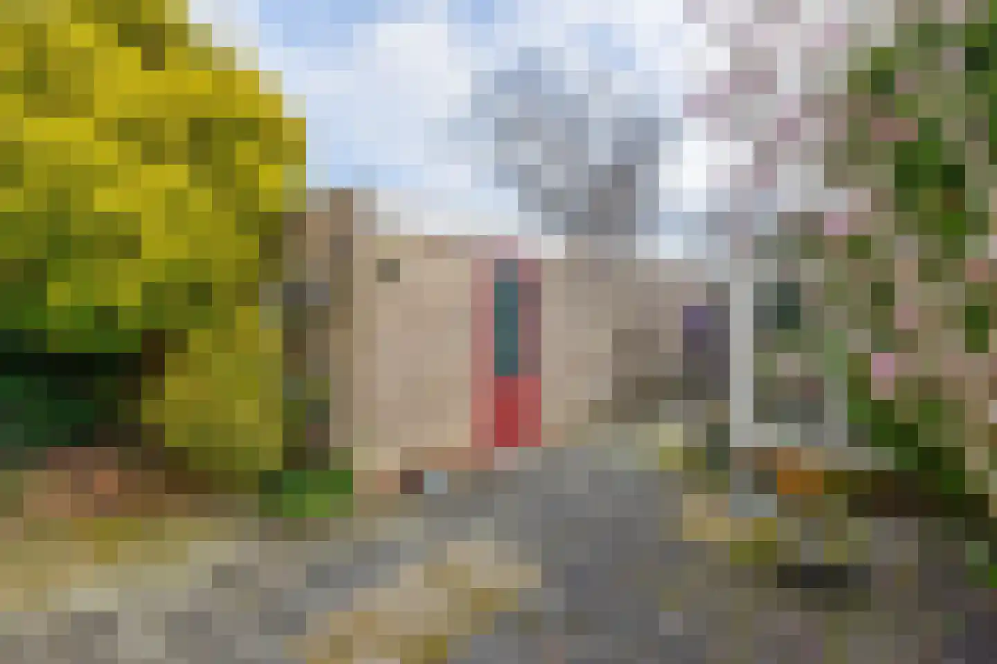 Vossenkamp 189 Winschoten thumbnail 34