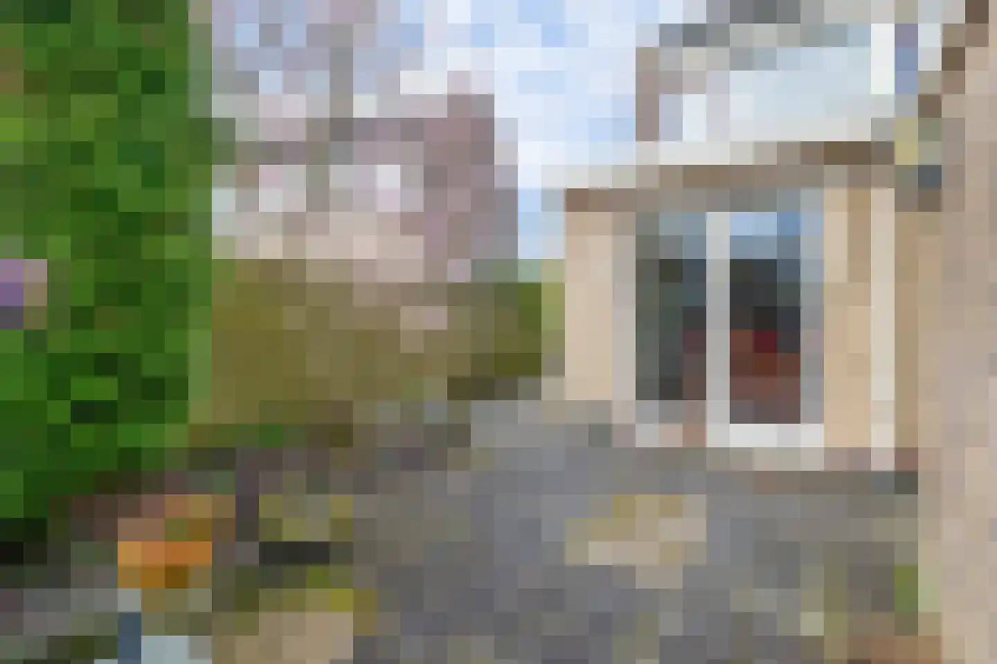 Vossenkamp 189 Winschoten thumbnail 36
