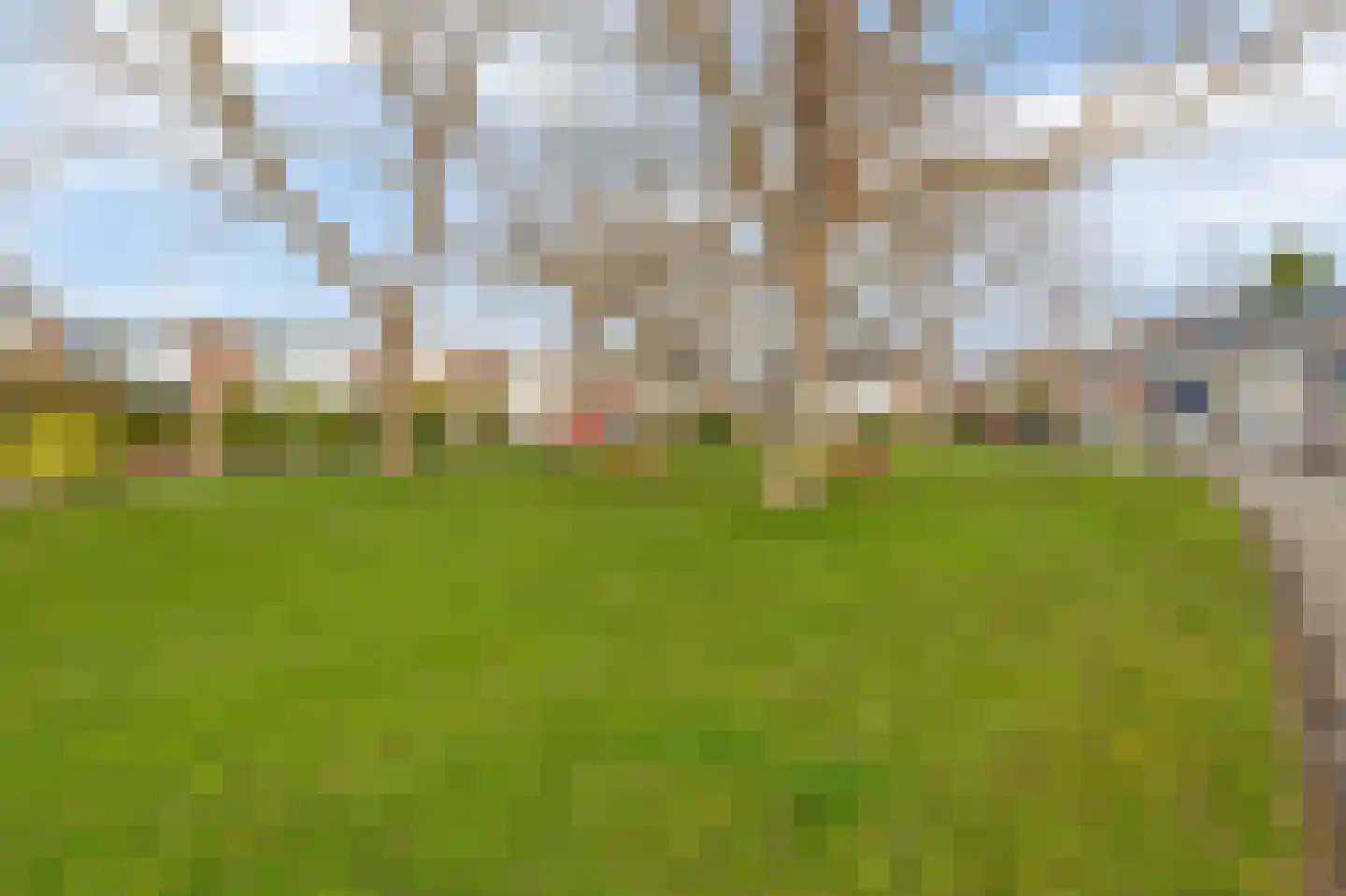 Vossenkamp 189 Winschoten thumbnail 41