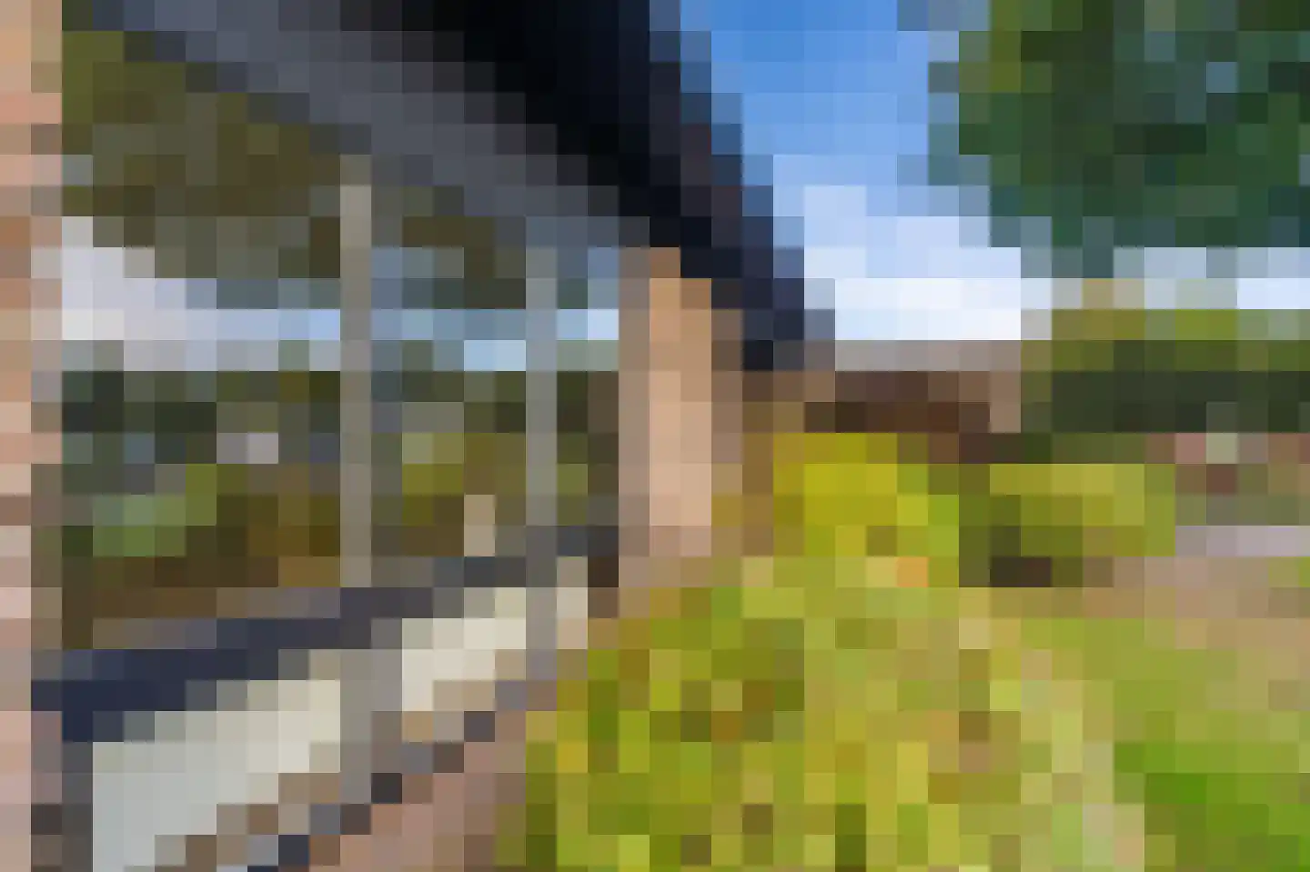 Vossenkamp 20 Winschoten thumbnail 10