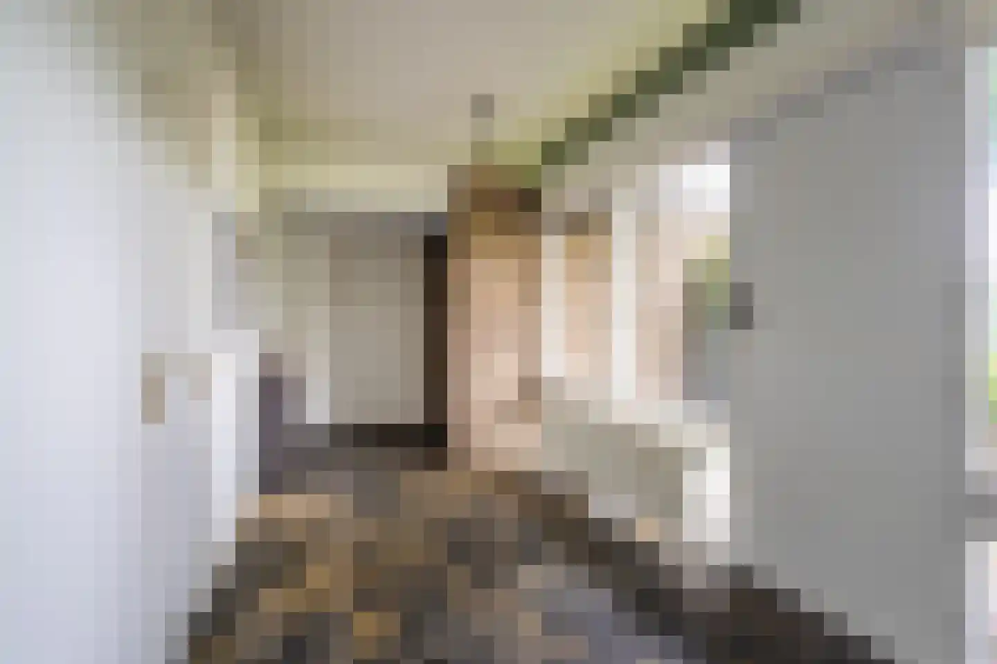 Vossenkamp 20 Winschoten thumbnail 12