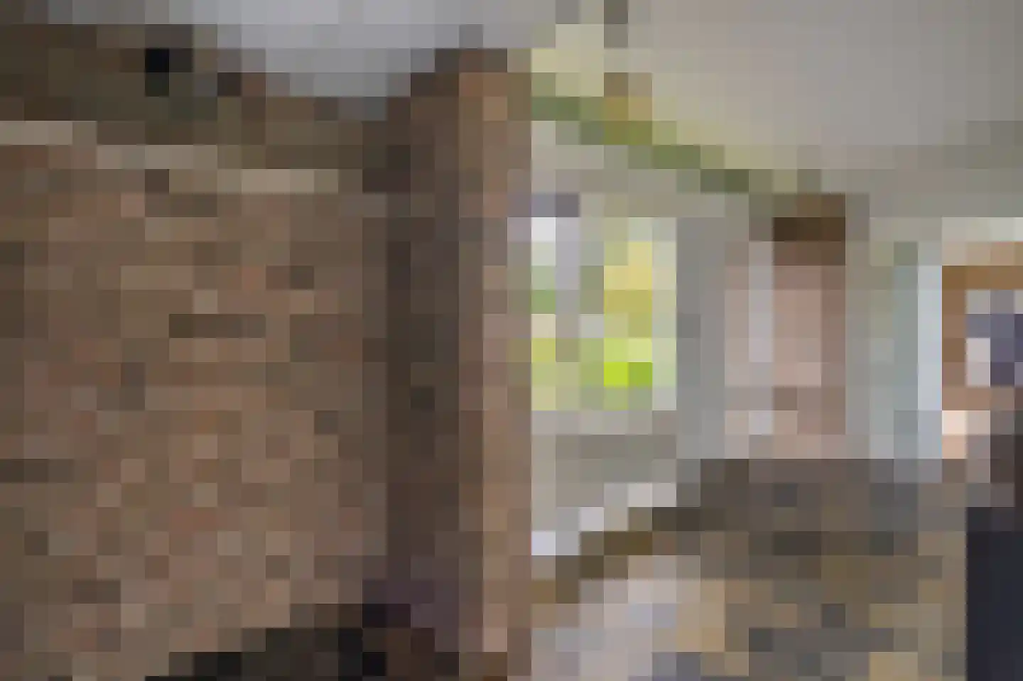 Vossenkamp 20 Winschoten thumbnail 13