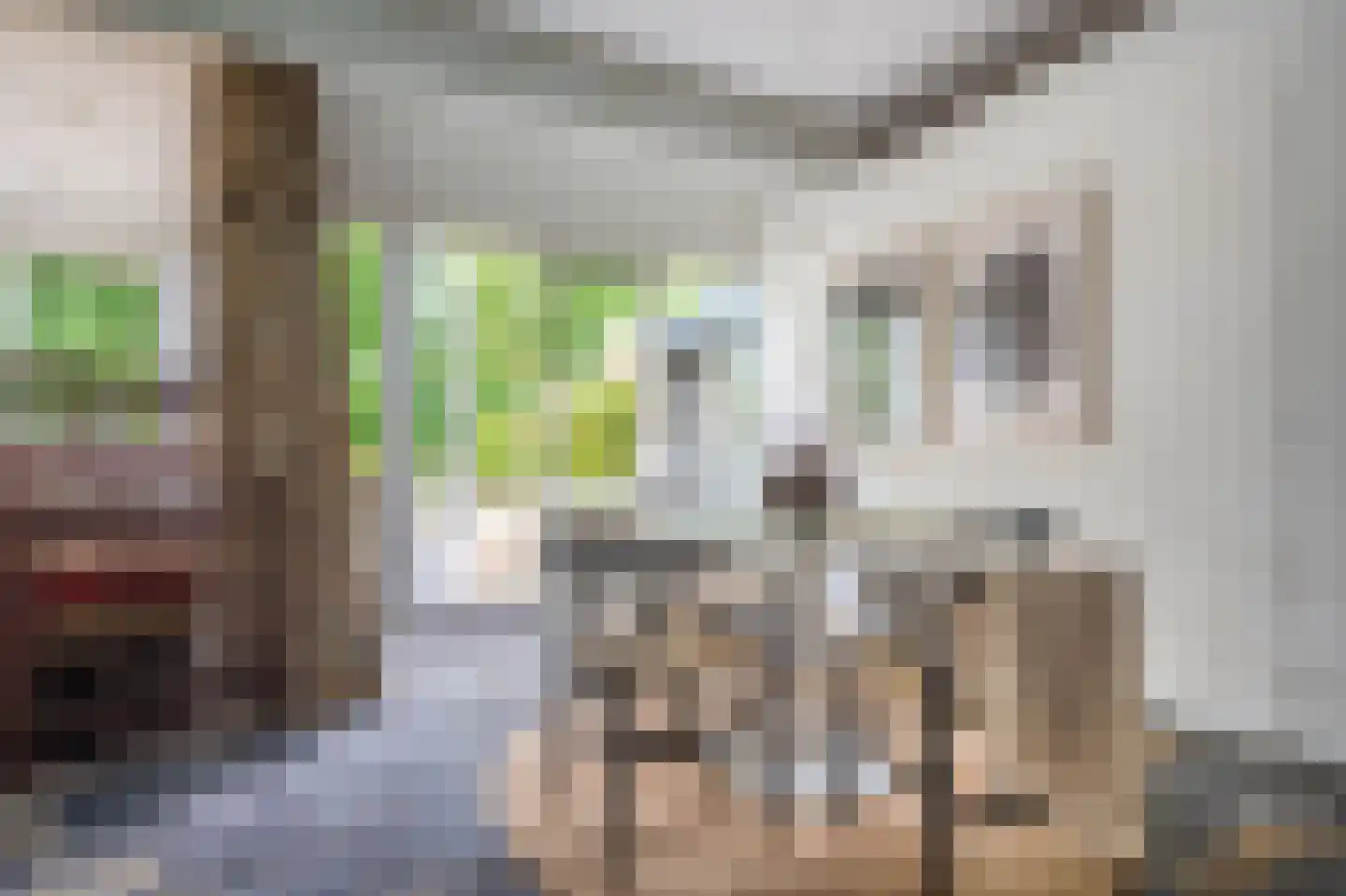 Vossenkamp 20 Winschoten thumbnail 29