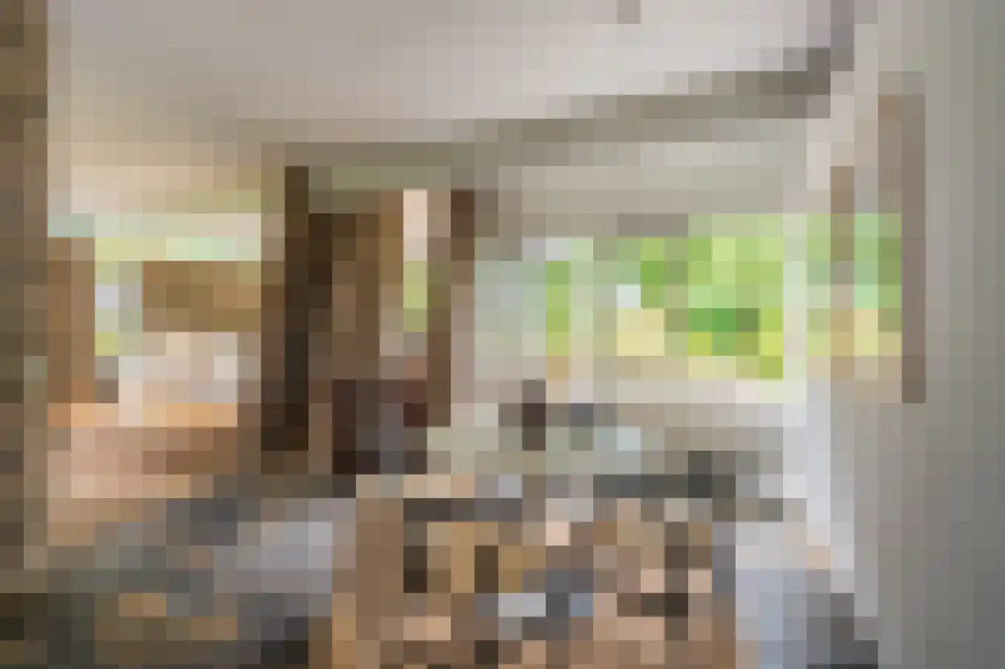 Vossenkamp 20 Winschoten thumbnail 30