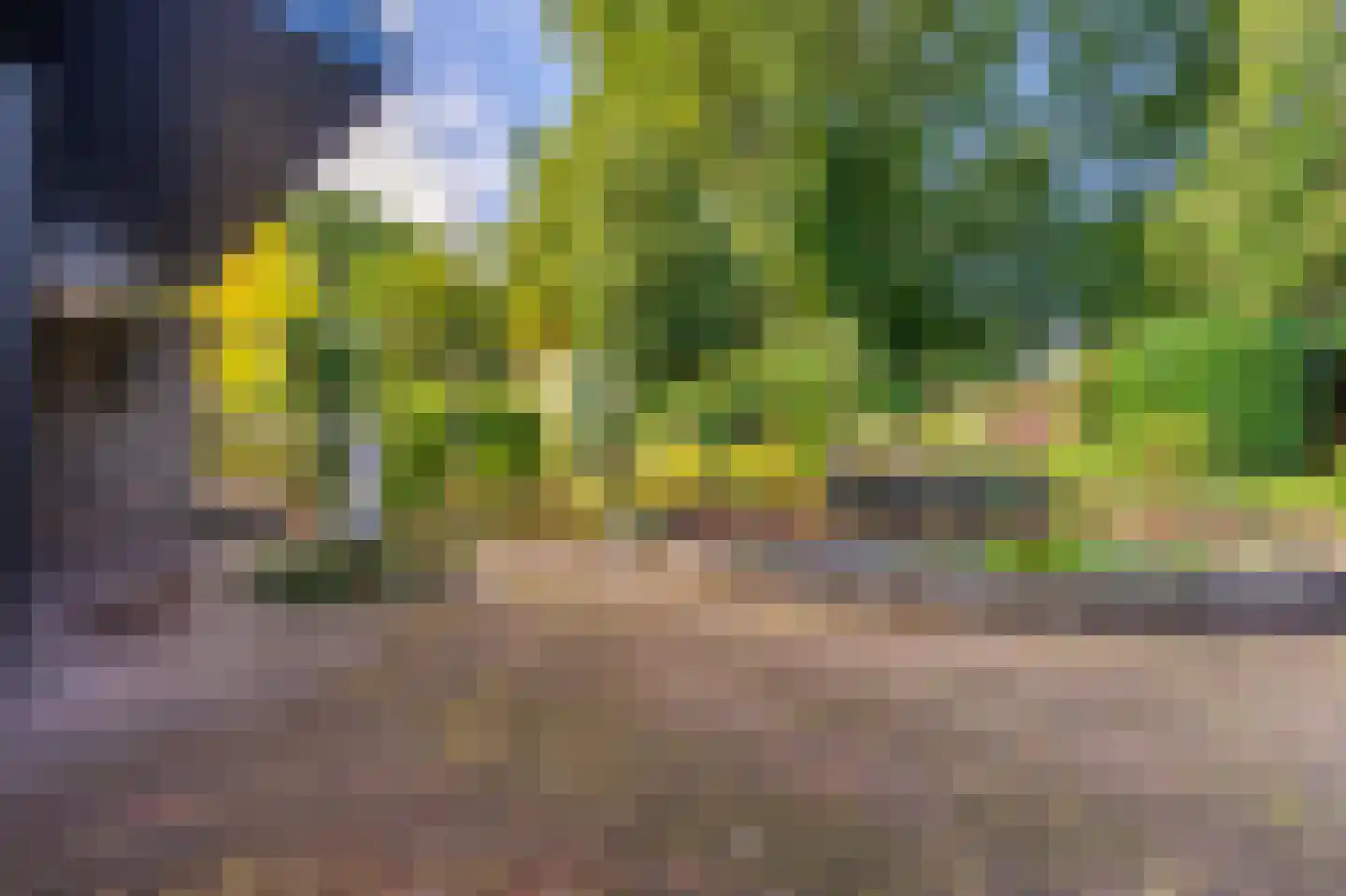 Vossenkamp 20 Winschoten thumbnail 57
