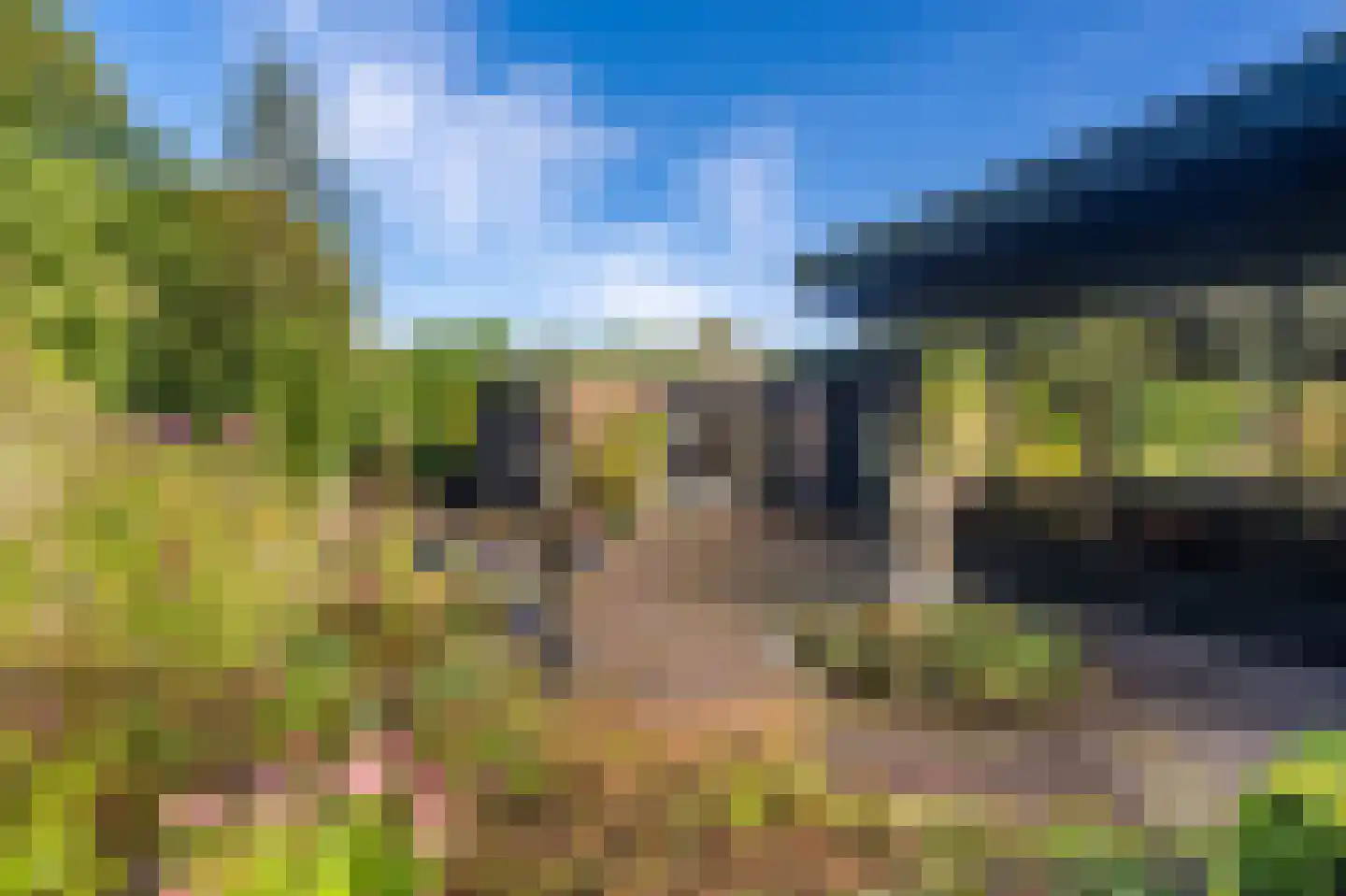 Vossenkamp 20 Winschoten thumbnail 59