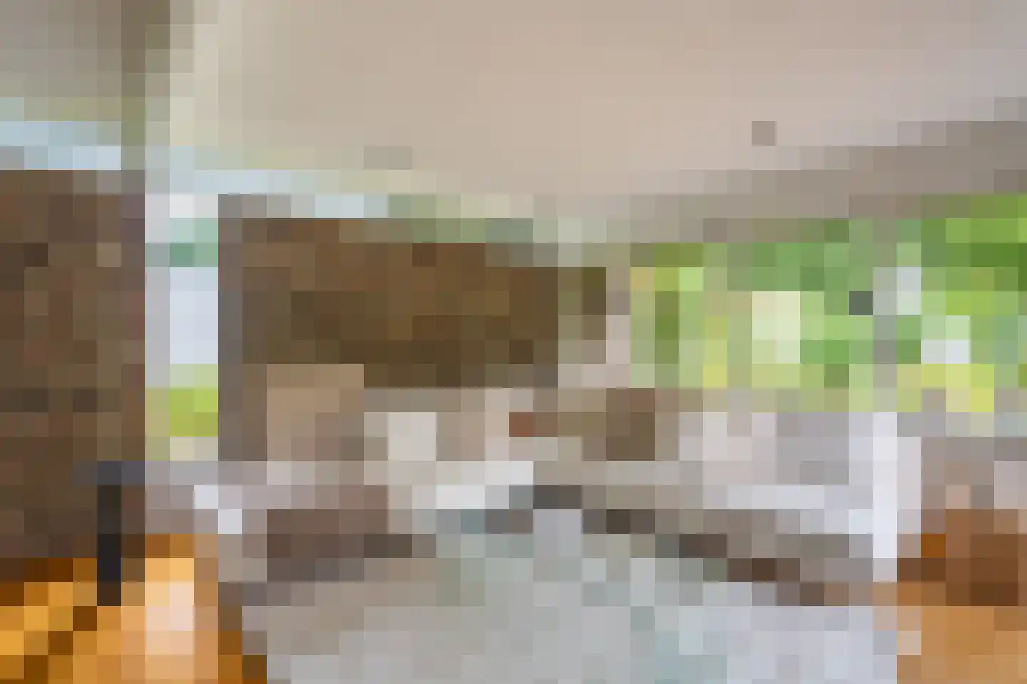 Vossenkamp 20 Winschoten thumbnail 6