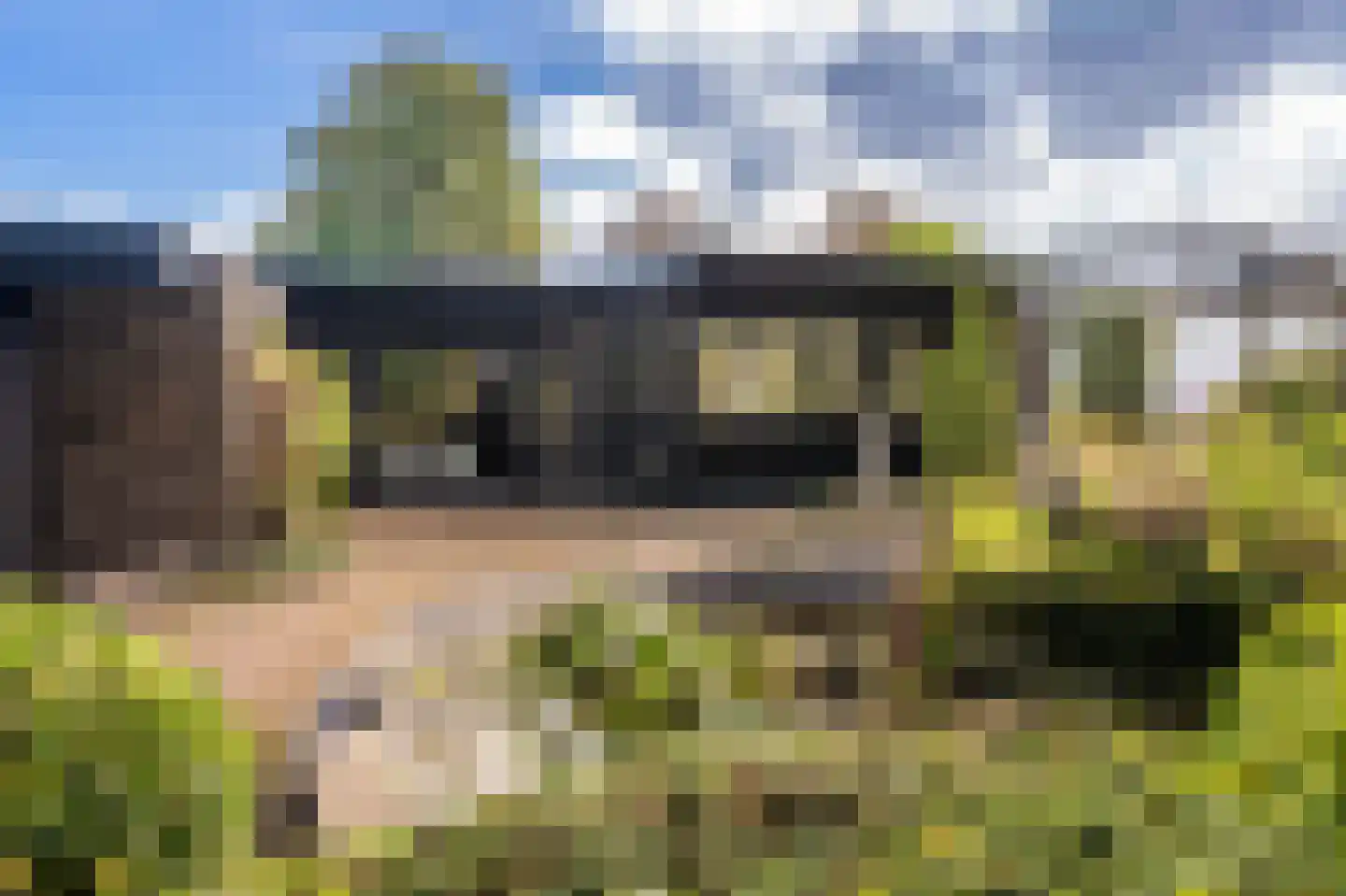 Vossenkamp 20 Winschoten thumbnail 61
