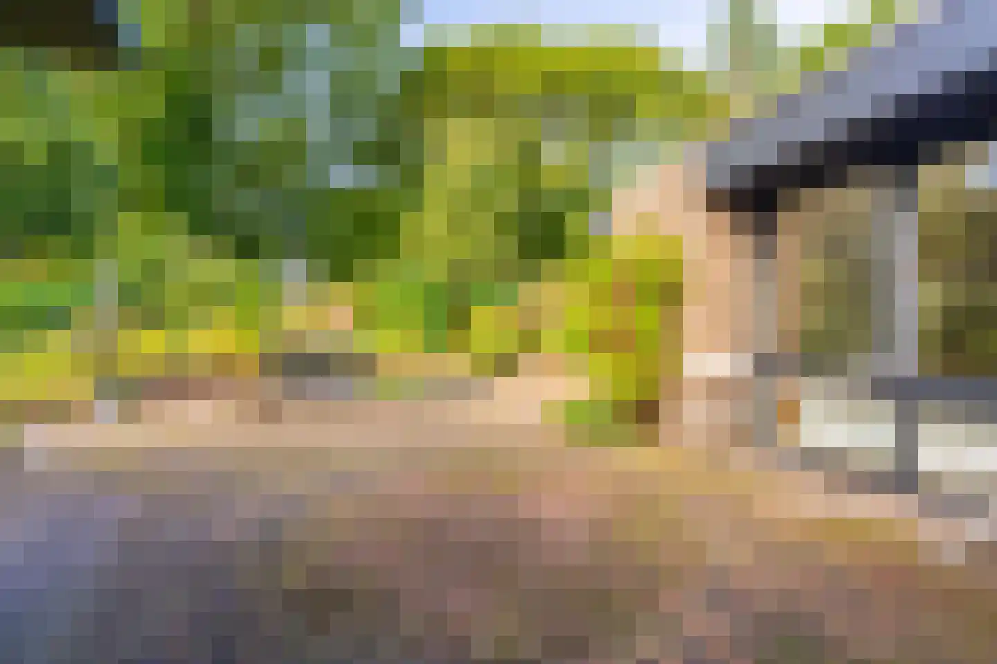 Vossenkamp 20 Winschoten thumbnail 62
