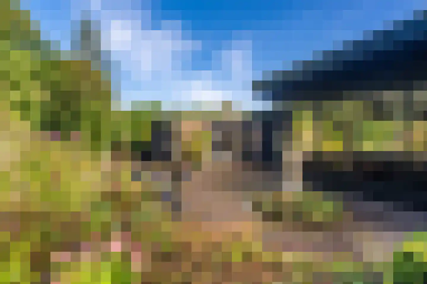 Vossenkamp 20 Winschoten thumbnail 8