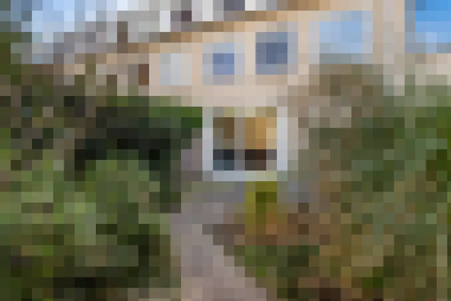 Vossenkamp 24 Driebergen-Rijsenburg thumbnail 27