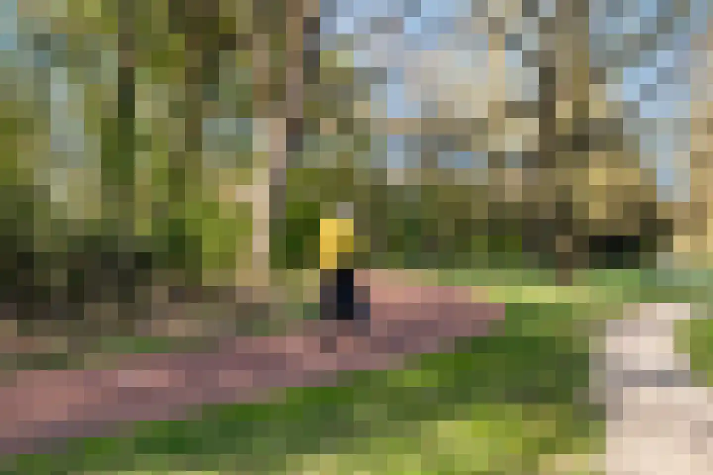 Vossenkamp 24 Driebergen-Rijsenburg thumbnail 61