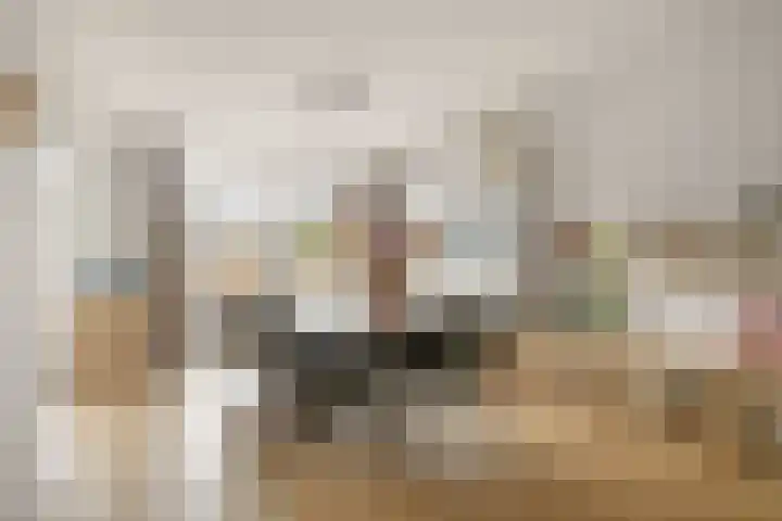 Vossenkamp 27 Driebergen-Rijsenburg thumbnail 6