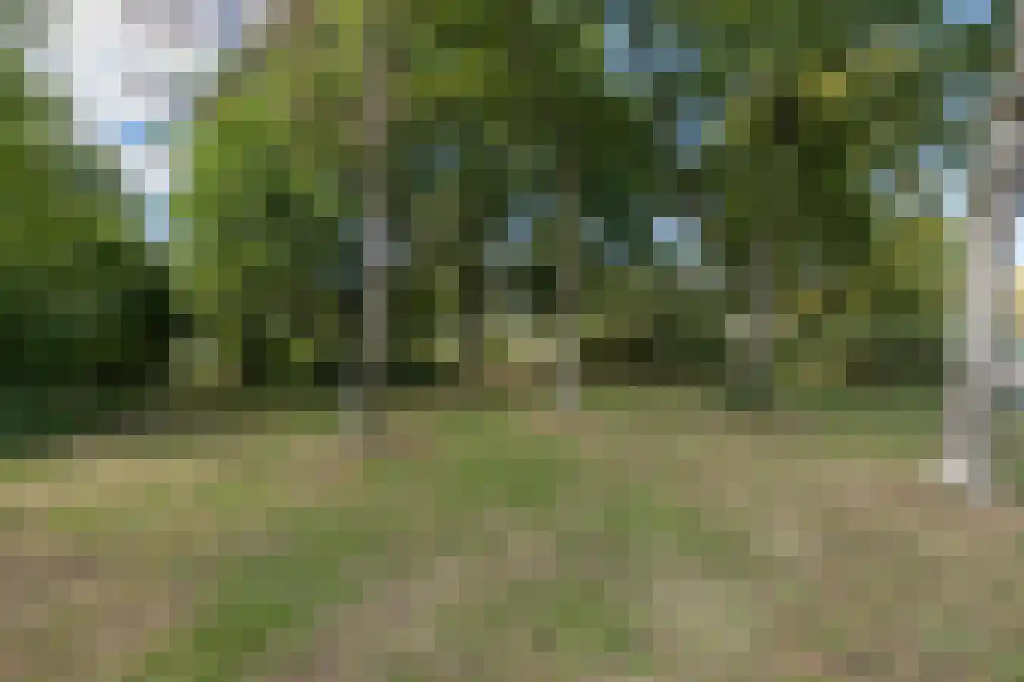 Vossenkamp 3 Driebergen-Rijsenburg thumbnail 43