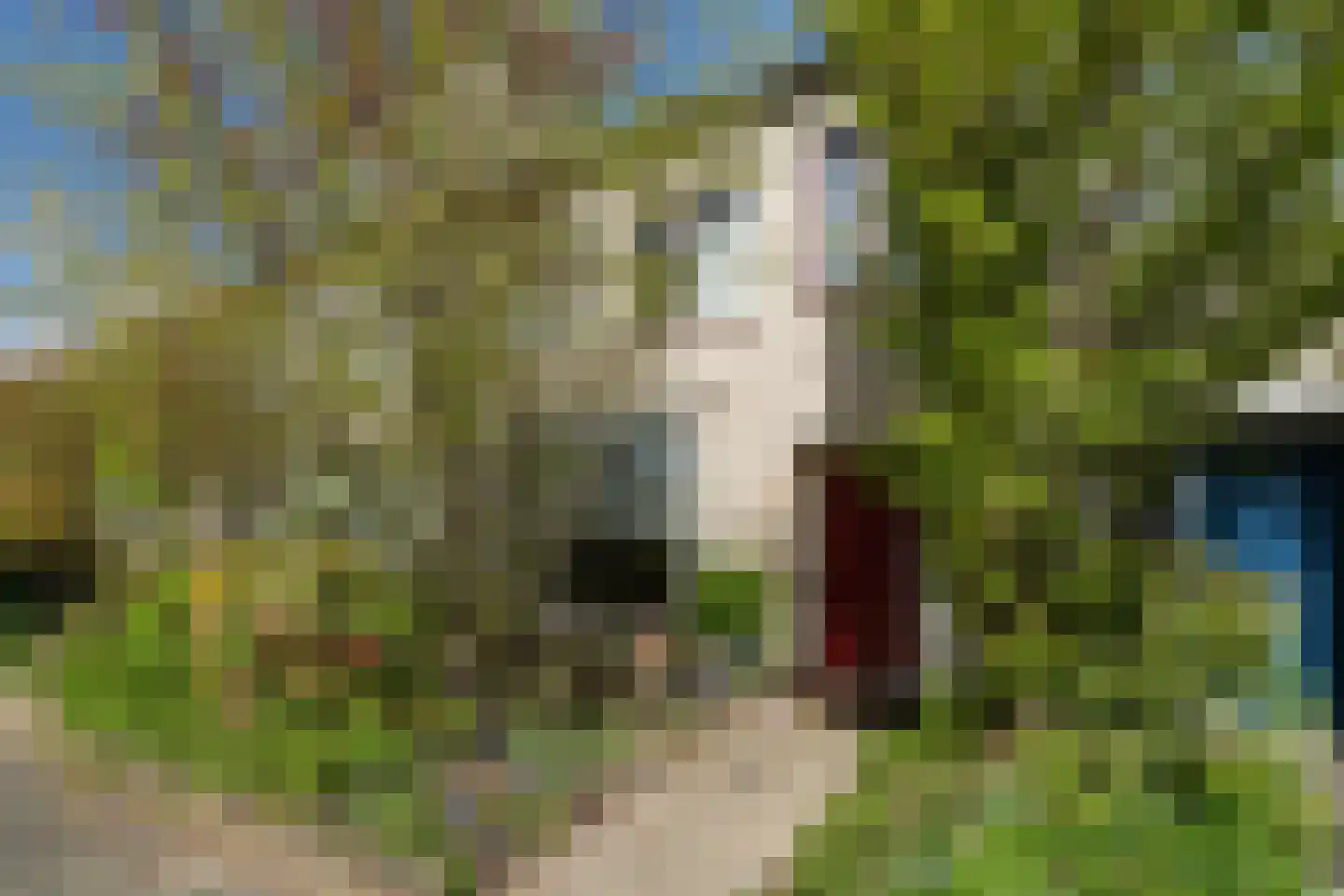 Vossenkamp 30 Driebergen-Rijsenburg thumbnail 62