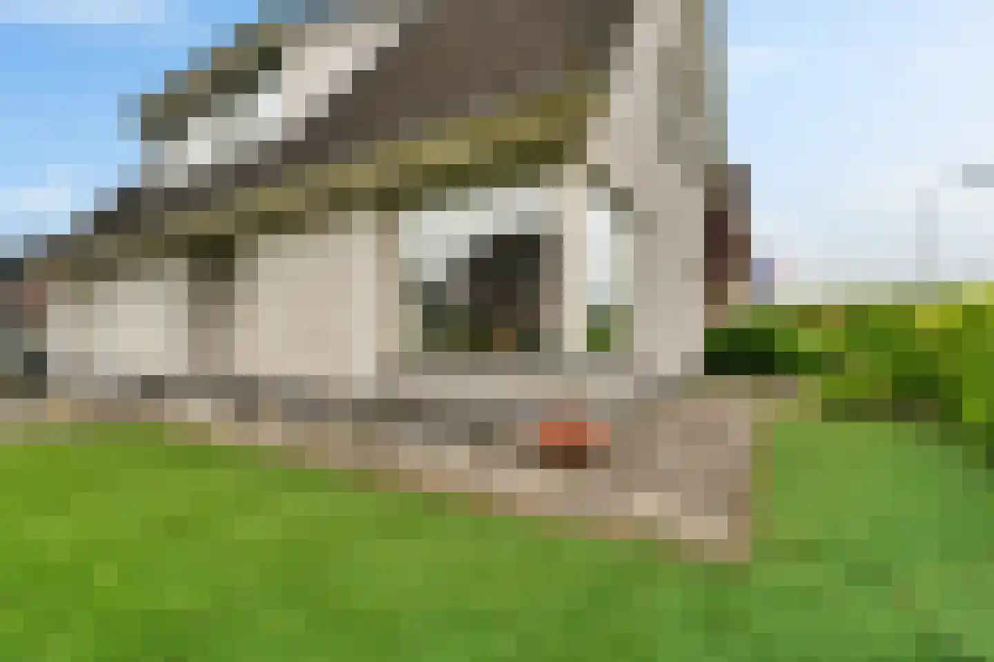 Vossenkamp 50 Sint Jansklooster thumbnail 13