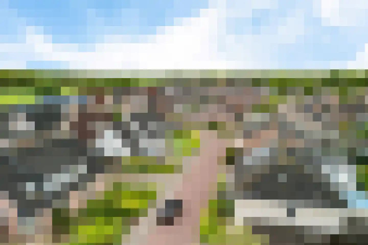 Vossenkamp 50 Sint Jansklooster thumbnail 31