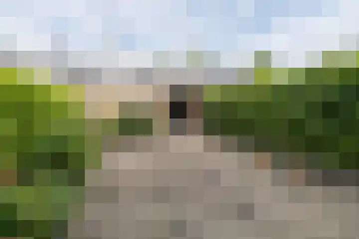 Vossenkamp 55 Driebergen-Rijsenburg thumbnail 24