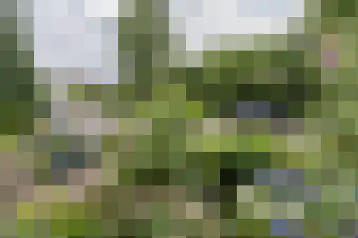 Vossenkamp 55 Driebergen-Rijsenburg thumbnail 28