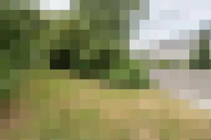 Vossenkamp 55 Driebergen-Rijsenburg thumbnail 30