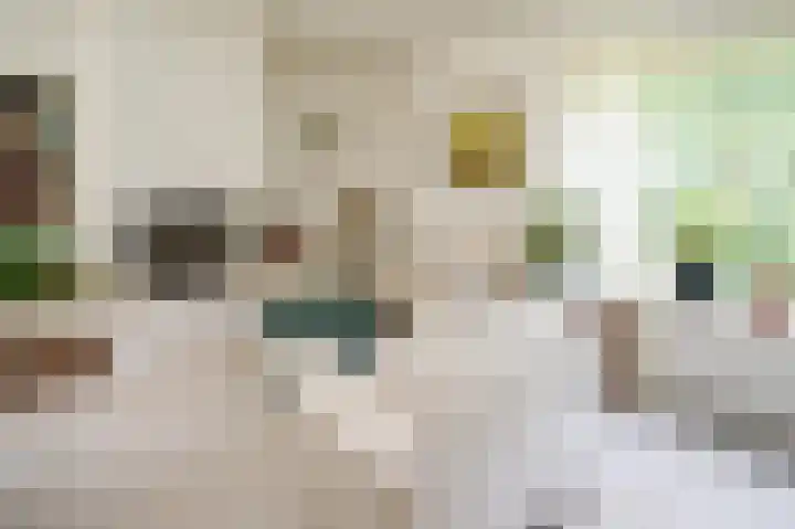Vossenkoog 2 Alkmaar thumbnail 13