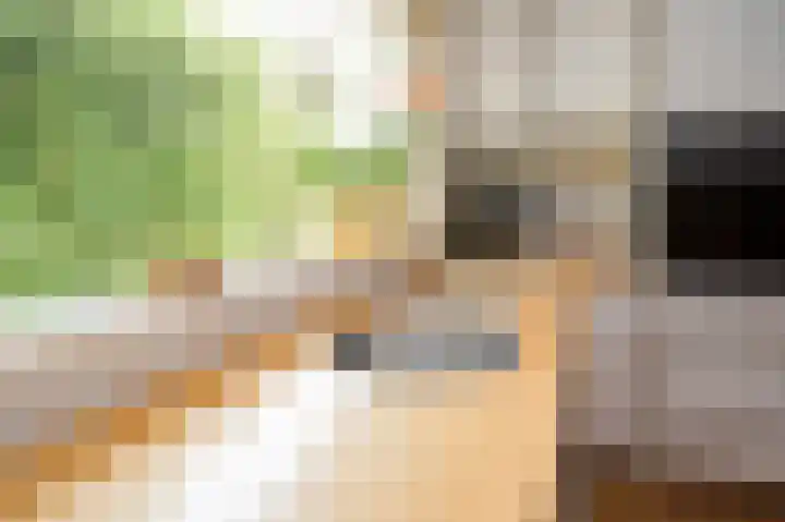 Vossenkoog 2 Alkmaar thumbnail 17