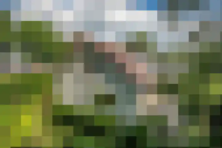 Vossenkoog 2 Alkmaar foto 2