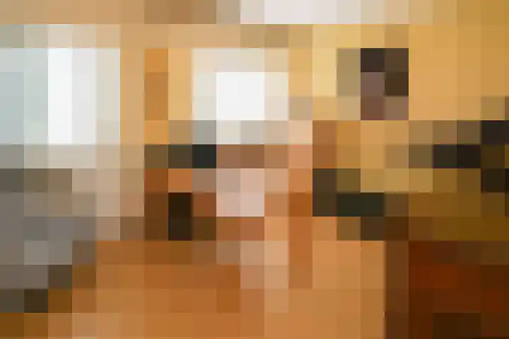 Vossenkoog 2 Alkmaar thumbnail 21