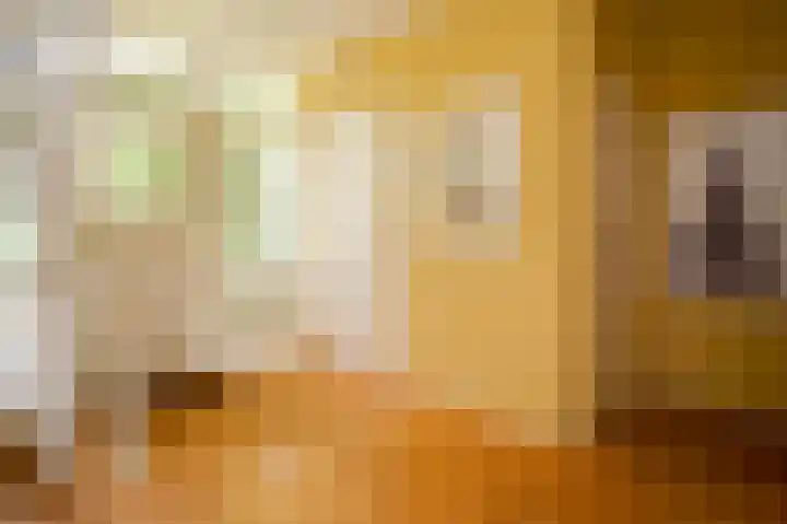Vossenkoog 2 Alkmaar thumbnail 23
