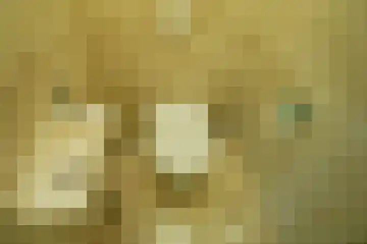 Vossenkoog 2 Alkmaar thumbnail 24