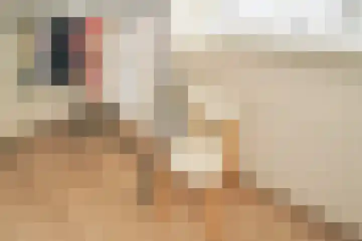 Vossenkoog 2 Alkmaar thumbnail 29