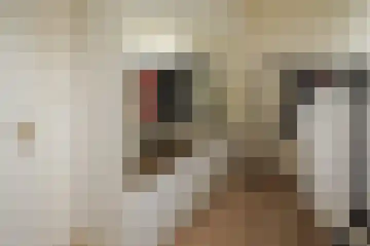 Vossenkoog 2 Alkmaar thumbnail 30