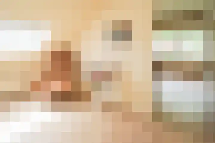 Vossenkoog 2 Alkmaar thumbnail 36