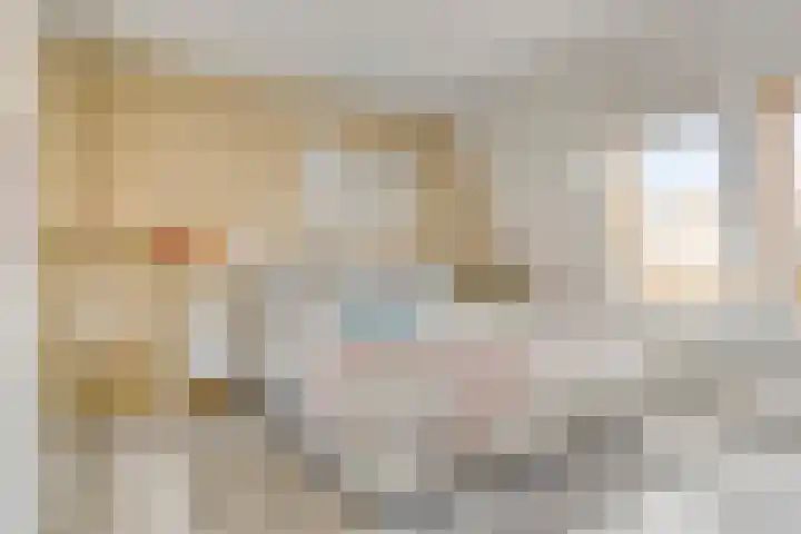 Vossenkoog 2 Alkmaar thumbnail 4