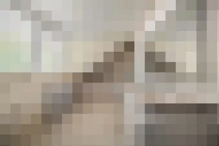 Vossenkoog 2 Alkmaar thumbnail 41